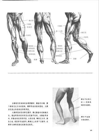 How to draw human figure
