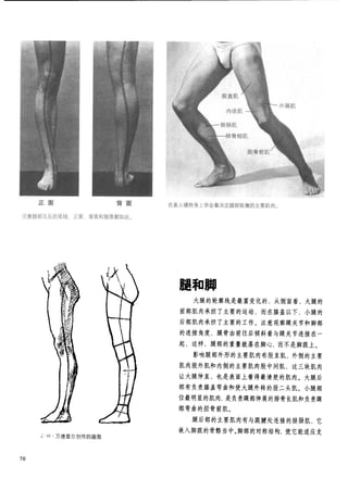 How to draw human figure