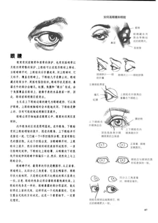 How to draw human figure
