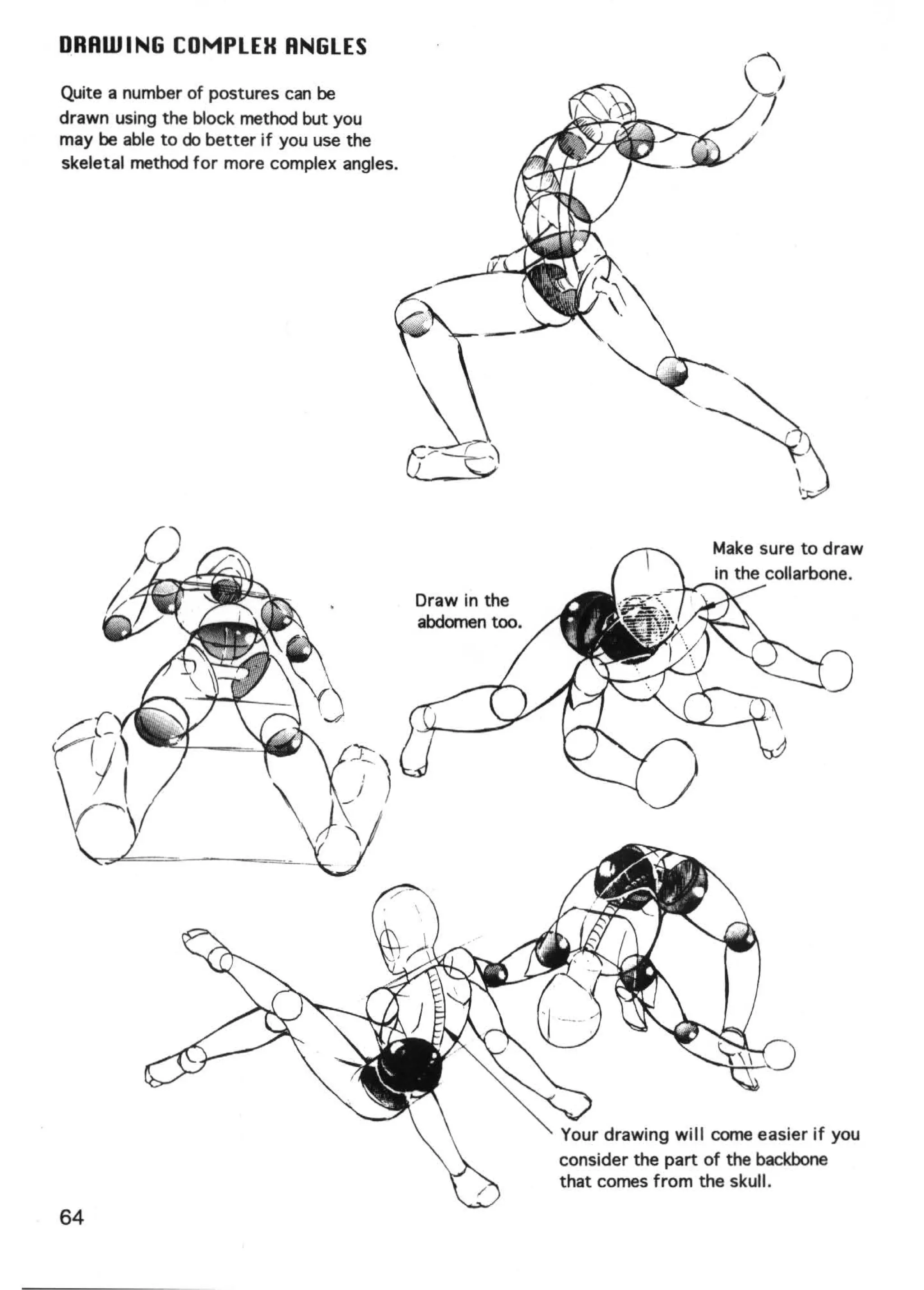DRRW ING COMPLEH ANGLES
Quite a number of postures can be
drawn using the block method but you
may be able to do better if you use the
skeletal method for more complex angles.




                                           Draw in the
                                           abdomen too.




                                                          Your drawing will come easier if you
                                                          consider the part of the backbone
                                                          that comes from the skull.

64
 