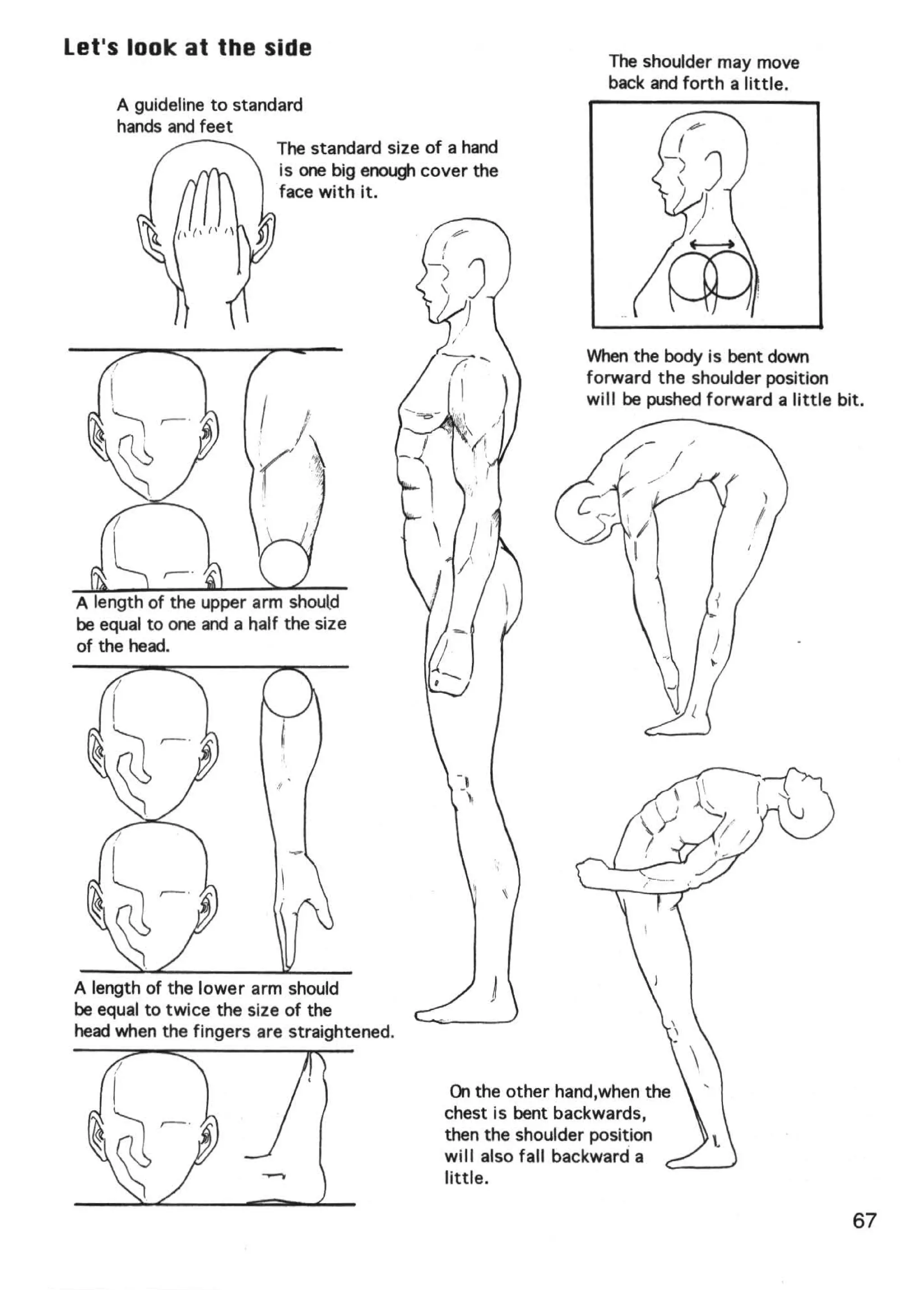 Let's look at the side
                                                                 The shoulder may move
                                                                 back and forth a little.
      A guideline to standard
      hands and feet
                          The standard size of a hand
                          is one big enoug, cover the
                          face with it.




                                                              When the body is bent down
                                                              forward the shoulder position
                                                              will be pushed forward a little bit.
                        . I"
                        I
                        (~

 A length of the upper arm should
 be equal to one and a half the size
 of the head.




A length of the lower arm should
be equal to twice the size of the
head when the fingers are straightened.


                                               On the other hand,when the
                                              chest is bent backwards,
                                              then the shoulder position
                                              will also fall backward a
                                              little.

                                                                                                67
 