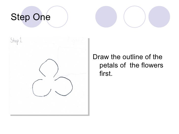 How to Draw Sego Lily