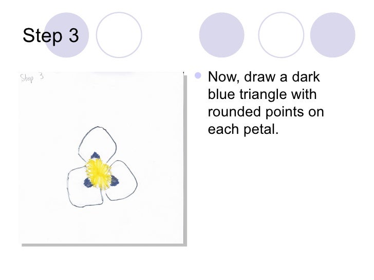 How to draw sego lily