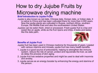 How to dry Jujube Fruits by
Microwave drying machine
Brief Introduction to Jujube Fruits
Jujube is also known as red date, Chinese date, Korean date, or Indian date. It
is native to China and has been cultivated there for more than 4,000 years.
Now the jujube plants are cultivated in Russia, northern Africa, southern
Europe, the Middle East and also the southwestern United States.
Jujubes can be eaten fresh, dried or processed. Fresh jujube fruit is crisp and
sweet like an apple, while as the fruit ripens and dries, it looks and tastes
like the date palm.
Benefits of Jujube Fruit
Jujube fruit has been used in Chinese medicine for thousands of years. Loaded
with various vitamins and mineals, jujube fruit has many health benefits.
1. Jujube is a good source of antioxidants, helping to strengthen the immune
system, reduce the risk of cancer, protect and rejuvenate the liver, as well
as delay the process of skin aging.
2. Jujube fruit has sedative properties and might be used to deal with insomnia
and anxiety.
3. Jujube serves as an energy booster by enhancing the energy and stamina of
the person.
 