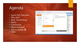 Agenda
• Quick XAF Overview
• Why XAF?
• Basic Terminology
• Demo
• Community
• More resources
• XAF to mobile 🙊
• Q&A
 