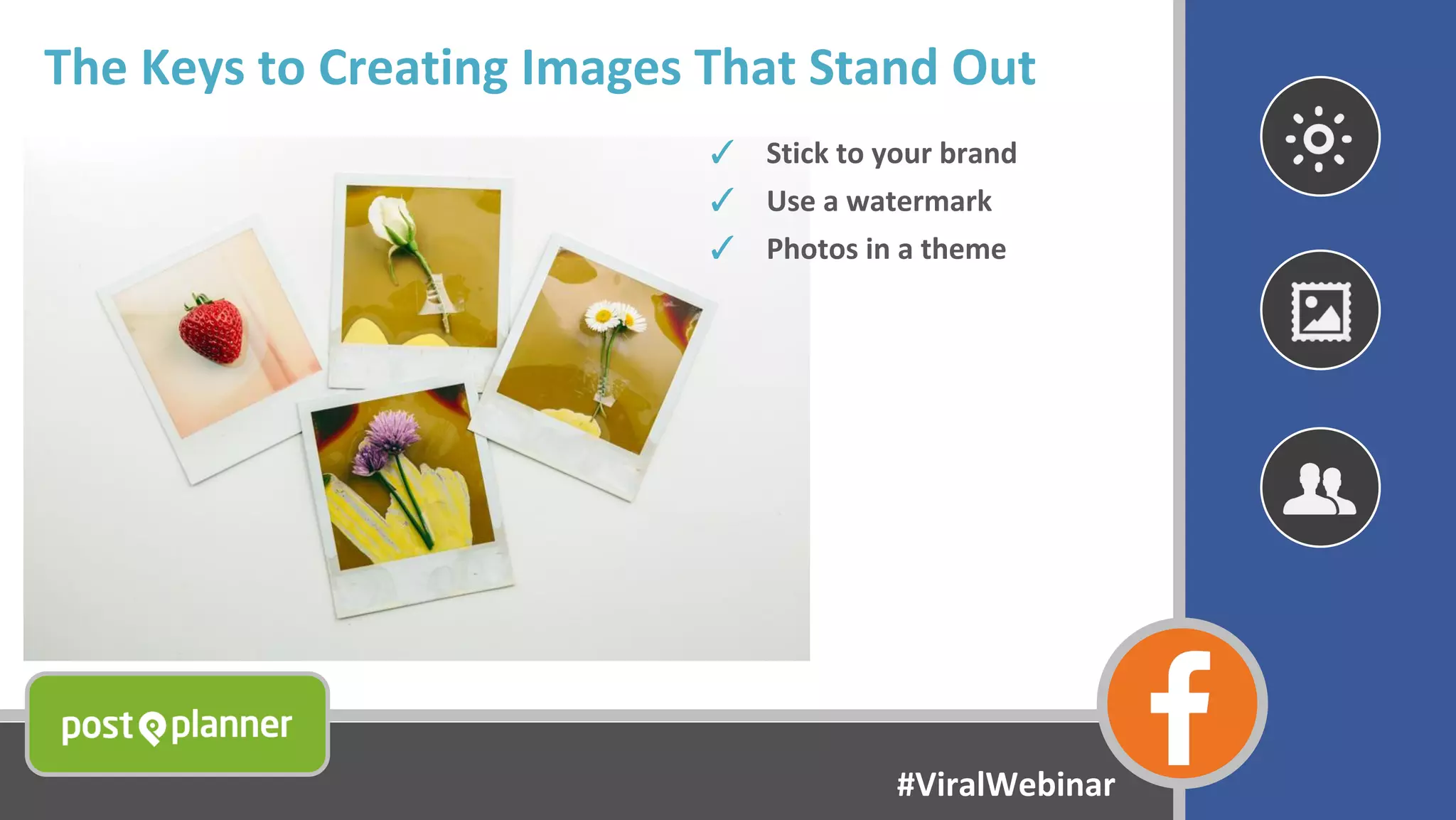 The Keys to Creating Images That Stand Out
✓ Stick to your brand
✓ Use a watermark
✓ Photos in a theme
#ViralWebinar
 