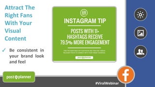 Attract The
Right Fans
With Your
Visual
Content
✓ Be consistent in
your brand look
and feel
#ViralWebinar
 
