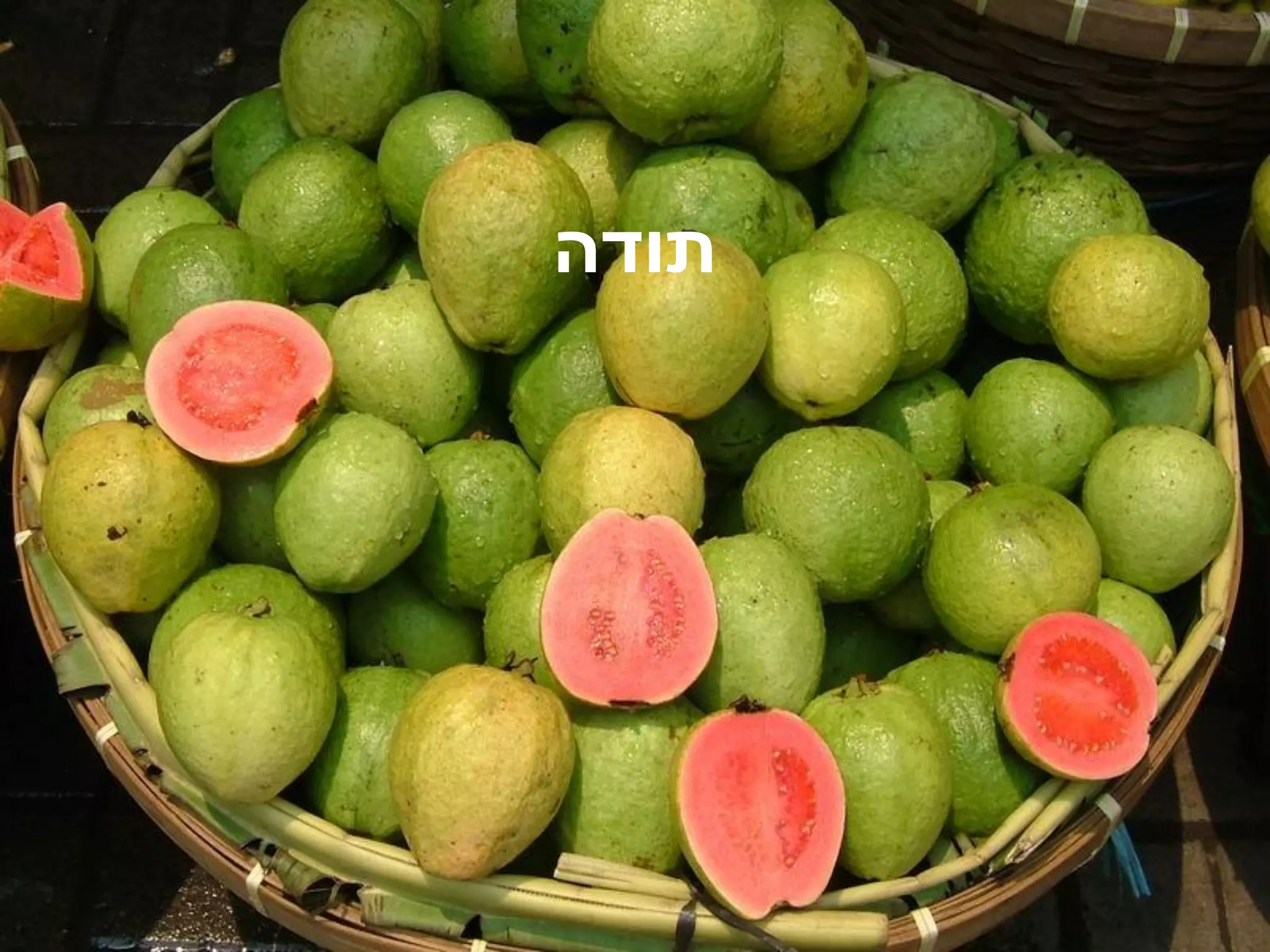 ‫תודה‬
 