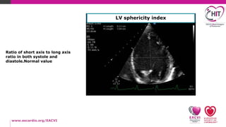 How To Echo Series LV Systolic Function practical Assessment PPTX how-to-echo-series-lv-systolic-function-practical-assessment-pptx