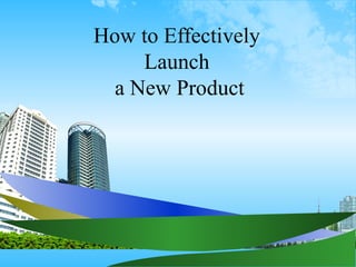 How to Effectively
     Launch
  a New Product
 