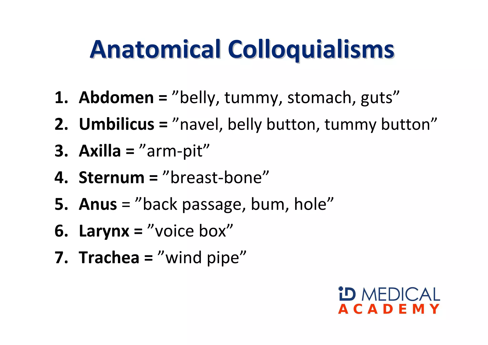 Anatomical Colloquialisms
1.   Abdomen = ”belly, tummy, stomach, guts”
2.   Umbilicus = ”navel, belly button, tummy button”
3.   Axilla = ”arm-pit”
4.   Sternum = ”breast-bone”
5.   Anus = ”back passage, bum, hole”
6.   Larynx = ”voice box”
7.   Trachea = ”wind pipe”
 