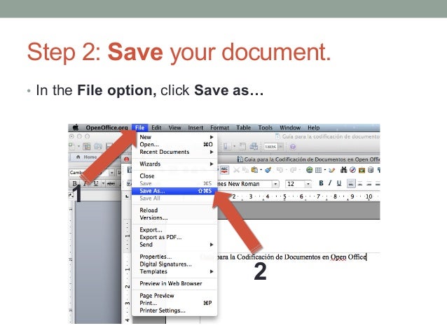 how to encrypt a word document