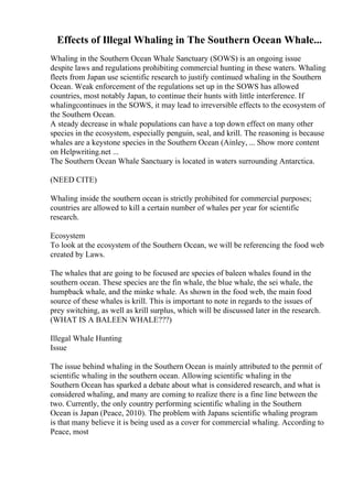 Effects of Illegal Whaling in The Southern Ocean Whale...
Whaling in the Southern Ocean Whale Sanctuary (SOWS) is an ongoing issue
despite laws and regulations prohibiting commercial hunting in these waters. Whaling
fleets from Japan use scientific research to justify continued whaling in the Southern
Ocean. Weak enforcement of the regulations set up in the SOWS has allowed
countries, most notably Japan, to continue their hunts with little interference. If
whalingcontinues in the SOWS, it may lead to irreversible effects to the ecosystem of
the Southern Ocean.
A steady decrease in whale populations can have a top down effect on many other
species in the ecosystem, especially penguin, seal, and krill. The reasoning is because
whales are a keystone species in the Southern Ocean (Ainley, ... Show more content
on Helpwriting.net ...
The Southern Ocean Whale Sanctuary is located in waters surrounding Antarctica.
(NEED CITE)
Whaling inside the southern ocean is strictly prohibited for commercial purposes;
countries are allowed to kill a certain number of whales per year for scientific
research.
Ecosystem
To look at the ecosystem of the Southern Ocean, we will be referencing the food web
created by Laws.
The whales that are going to be focused are species of baleen whales found in the
southern ocean. These species are the fin whale, the blue whale, the sei whale, the
humpback whale, and the minke whale. As shown in the food web, the main food
source of these whales is krill. This is important to note in regards to the issues of
prey switching, as well as krill surplus, which will be discussed later in the research.
(WHAT IS A BALEEN WHALE???)
Illegal Whale Hunting
Issue
The issue behind whaling in the Southern Ocean is mainly attributed to the permit of
scientific whaling in the southern ocean. Allowing scientific whaling in the
Southern Ocean has sparked a debate about what is considered research, and what is
considered whaling, and many are coming to realize there is a fine line between the
two. Currently, the only country performing scientific whaling in the Southern
Ocean is Japan (Peace, 2010). The problem with Japans scientific whaling program
is that many believe it is being used as a cover for commercial whaling. According to
Peace, most
 