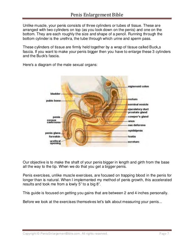 Lengthen ways penis to