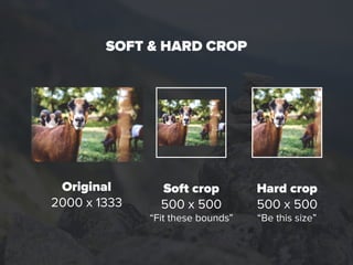 SOFT & HARD CROP
Original 
2000 x 1333 
Soft crop 
500 x 500 
“Fit these bounds”
Hard crop 
500 x 500 
“Be this size”
 