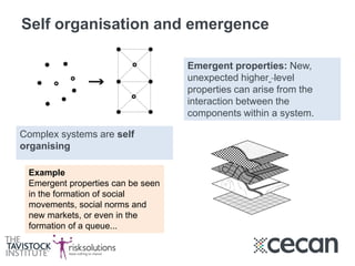 Self organisation and emergence
Example
Emergent properties can be seen
in the formation of social
movements, social norms and
new markets, or even in the
formation of a queue...
Complex systems are self
organising
Emergent properties: New,
unexpected higher level
properties can arise from the
interaction between the
components within a system.
 