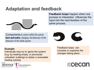 Adaptation and feedback
Feedback loops happen when one
process or interaction influences the
input into the next iteration of the
same process.
Example:
Individuals may try to 'game the system’
(e.g. by heating empty, or previously
unheated, buildings to obtain a renewable
heating subsidy
Components or actors within the system
learn and evolve, changing the behaviour of the
behaviour of the whole system.
Feedback loops can
increase or suppress the
changes taking place.
 