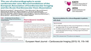 European Heart Journal – Cardiovascular Imaging (2015) 16, 119–146
 