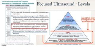 European Heart Journal – Cardiovascular Imaging (2014) 15,
956–960
 
