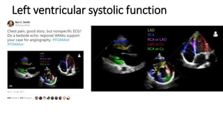 Left ventricular systolic function
 