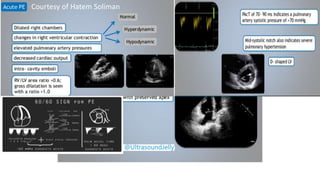 Courtesy of Hatem Soliman
 