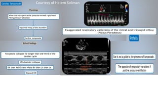 Courtesy of Hatem Soliman
 