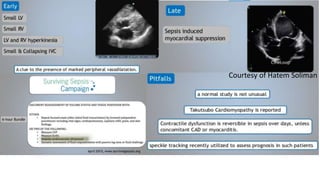 Courtesy of Hatem Soliman
 