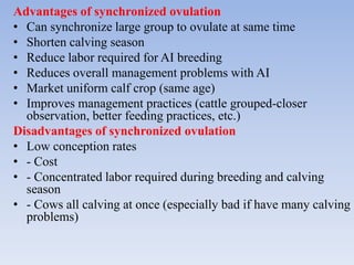 Advantages of synchronized ovulation
• Can synchronize large group to ovulate at same time
• Shorten calving season
• Reduce labor required for AI breeding
• Reduces overall management problems with AI
• Market uniform calf crop (same age)
• Improves management practices (cattle grouped-closer
observation, better feeding practices, etc.)
Disadvantages of synchronized ovulation
• Low conception rates
• - Cost
• - Concentrated labor required during breeding and calving
season
• - Cows all calving at once (especially bad if have many calving
problems)
 