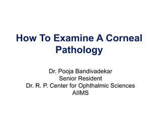 How To Examine A Corneal
Pathology
Dr. Pooja Bandivadekar
Senior Resident
Dr. R. P. Center for Ophthalmic Sciences
AIIMS
 