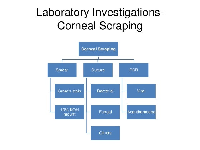 How to examine a corneal pathology-basics