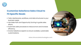 How to Execute Perfect Salesforce Sales Cloud Implementation | PDF