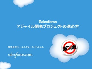 Salesforce 
    アジャイル開発プロジェクトの進め方	



	
株式会社セールスフォース・ドットコム	
 