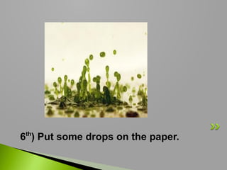 th

6 ) Put some drops on the paper.

 