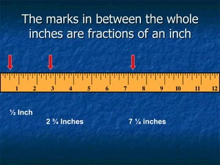 The marks in between the whole
    inches are fractions of an inch




½ Inch
         2 ¾ Inches   7 ¼ inches
 