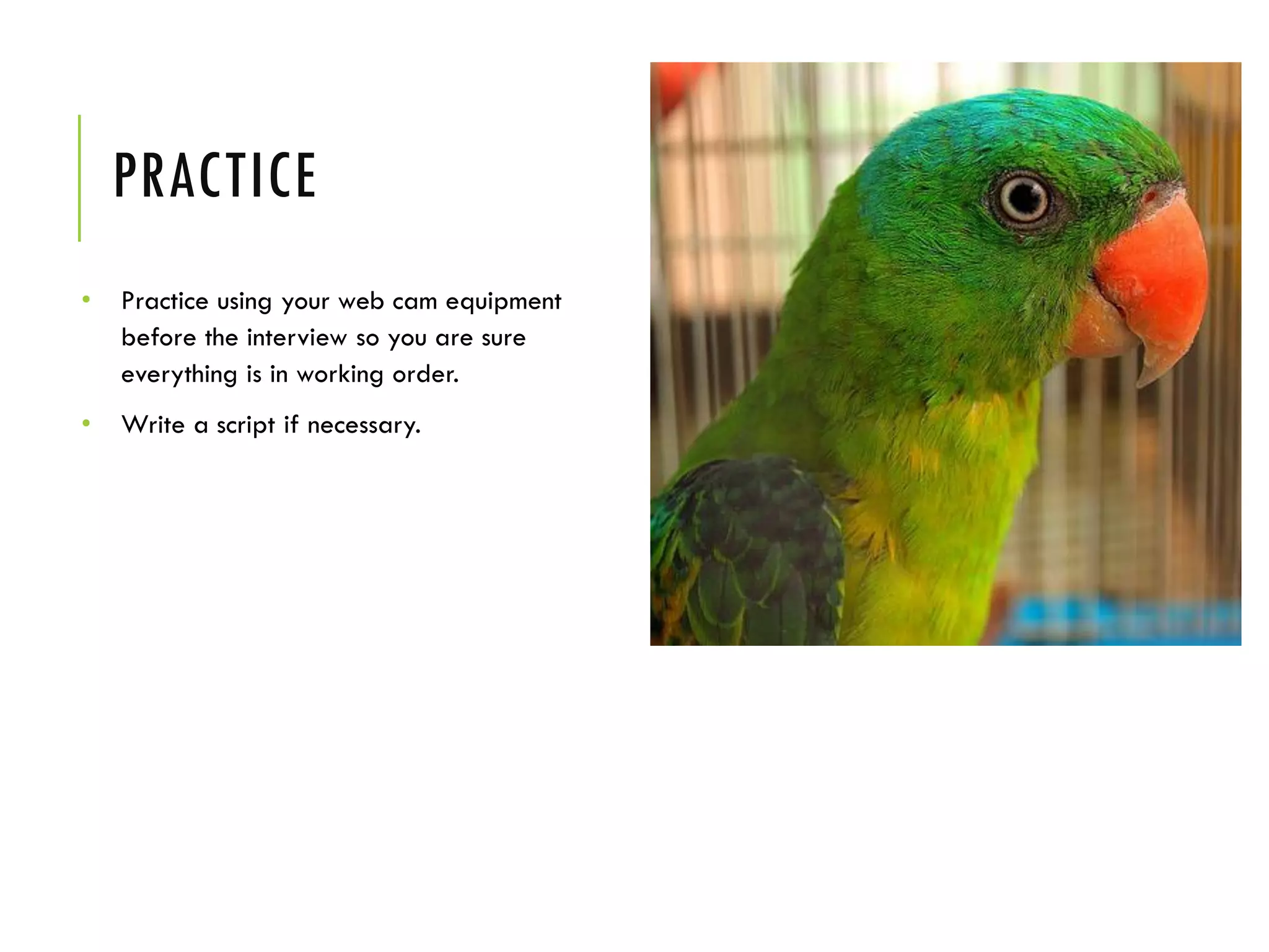 PRACTICE
• Practice using your web cam equipment
before the interview so you are sure
everything is in working order.
• Write a script if necessary.
 