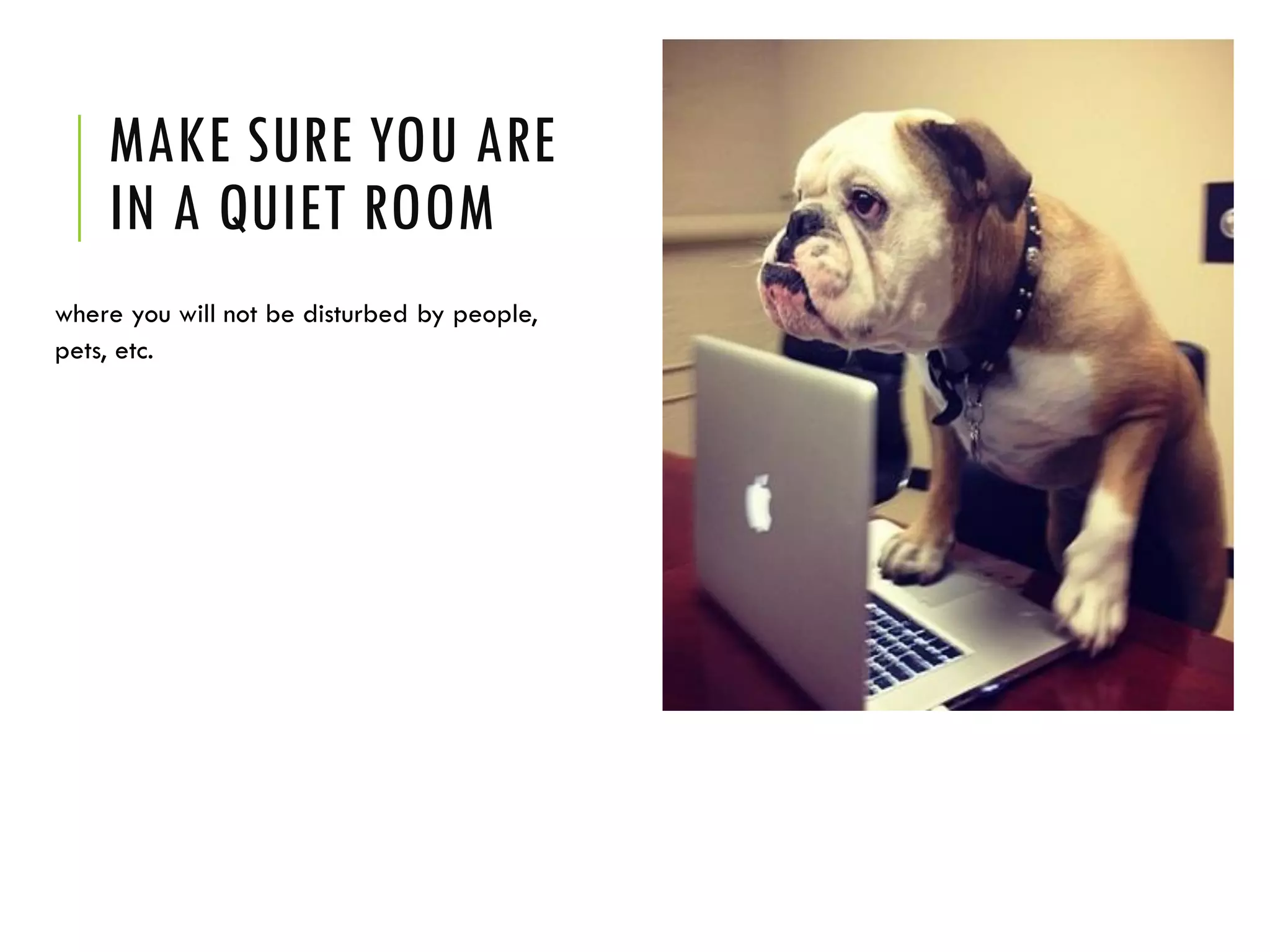 MAKE SURE YOU ARE
IN A QUIET ROOM
where you will not be disturbed by people,
pets, etc.
 