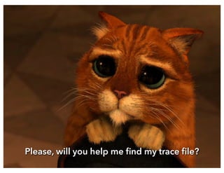 Please, will you help me find my trace file? 
@CaryMillsap 53 
 