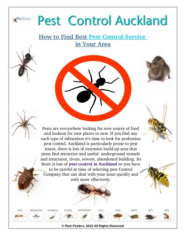 Types of bug sprays: For the best defense against bugs, the Pest Soldier bug spray is a great choice for indoor and outdoor pest control. Check the price on Amazon › Types of bug sprays.