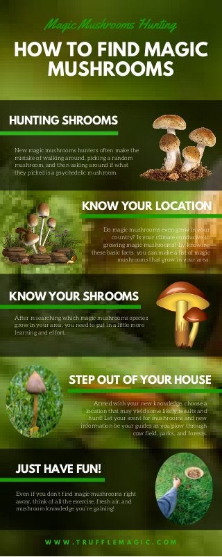 Magic Mushrooms Hunting
HOW TO FIND MAGIC
MUSHROOMS
HUNTING SHROOMS
New magic mushrooms hunters often make the
mistake of walking around, picking a random
mushroom, and then asking around if what
they picked is a psychedelic mushroom.
KNOW YOUR LOCATION
Do magic mushrooms even grow in your
country? Is your climate conducive to
growing magic mushrooms? By knowing
these basic facts, you can make a list of magic
mushrooms that grow in your area.
KNOW YOUR SHROOMS
After researching which magic mushrooms species
grow in your area, you need to put in a little more
learning and effort.
STEP OUT OF YOUR HOUSE
Armed with your new knowledge, choose a
location that may yield some likely results and
hunt! Let your scent for mushrooms and new
information be your guides as you plow through
cow field, parks, and forests.
JUST HAVE FUN!
Even if you don’t find magic mushrooms right
away, think of all the exercise, fresh air, and
mushroom knowledge you’re gaining!
W W W . T R U F F L E M A G I C . C O M
 