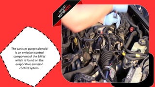 How to Find the Damaged Canister Purge Solenoid in BMW PPT