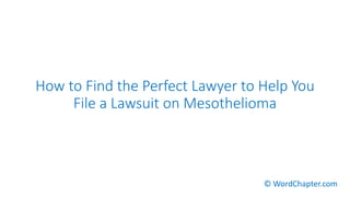 How to Find the Perfect Lawyer to Help You
File a Lawsuit on Mesothelioma
© WordChapter.com
 
