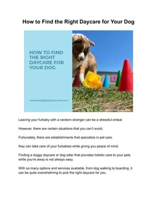 How to Find the Right Daycare for Your Dog
Leaving your furbaby with a random stranger can be a stressful ordeal.
However, there are certain situations that you can’t avoid.
Fortunately, there are establishments that specialize in pet care.
they can take care of your furbabies while giving you peace of mind.
Finding a doggy daycare or dog sitter that provides holistic care to your pets
while you’re away is not always easy.
With so many options and services available, from dog walking to boarding, it
can be quite overwhelming to pick the right daycare for you.
 
