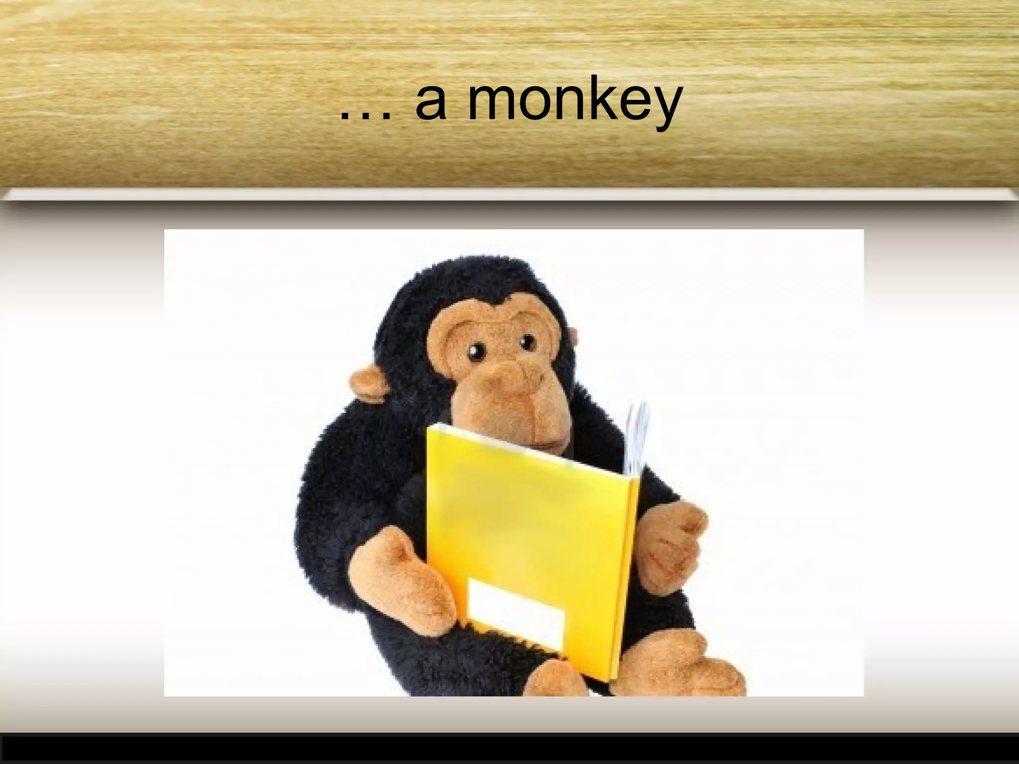 … a monkey

 