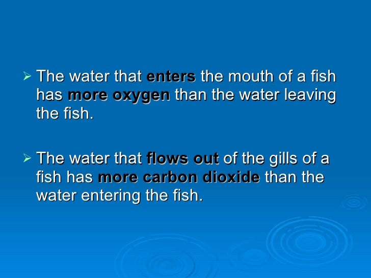 How To Fish N Plants Breathe