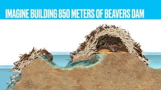 IMAGINEBUILDING850METERSOFBEAVERSDAM
 