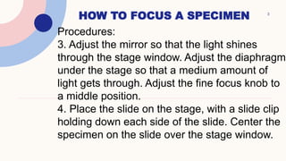 How to focus a specimen using a microscope | PPTX