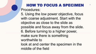How to focus a specimen using a microscope | PPTX