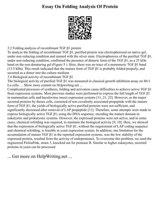 Essay On Folding Analysis Of Protein
3.2 Folding analysis of recombinant TGF β1 protein
To analyze the folding of recombinant TGF β1, purified protein was electrophoresed on native gel,
under non reducing condition and stained with the silver stain. Electrophoresis of the purified TGF β1,
under non reducing condition, confirmed the presence of dimeric form of the TGF β1, as a 25 kDa
band on the non denaturing gel (Figure 5 ). Here, there was no trace of a monomeric TGF β1 band
(13.5 kDa). This result indicated that the mature form of TGF β1 is probably folded properly, and
secreted as a dimer into the culture medium.
3.4 Biological activity of recombinant TGF β1
The biological activity of purified TGF β1 was measured in classical growth inhibition assay on Mv1
Lu cells. ... Show more content on Helpwriting.net ...
Complicated processes of synthesis, folding and activation cause difficulties to achieve active TGF β1
from expression systems. Most previous studies were performed to express the full length of TGF β1
in mammalian cells and baculovirus insect expression systems [11, 21, 22]. However, as the major
secreted proteins by theses cells, consisted of non covalently associated propeptide with the mature
form of TGF β1, the yields of biologically active purified proteins were not sufficient, and
significantly decreased after removal of LAP propeptide [11]. Therefore, some attempts were made to
express biologically active TGF β1, using the DNA sequence, encoding the mature domain in
eukaryotic and prokaryotic systems. However, the expressed proteins were not active, and in some
cases, chemical refolding was required, to maintain the biological activity [9, 10]. Here, we showed
that the expression of biologically active TGF β1, without the requirement of LAP coding sequence
and chemical refolding, is feasible in yeast expression system. In addition, one limitation for the
accumulation of mature TGF β1 in the reported expression systems, was the low stability of the
expressed protein, resulted from the activity of endoproteases. To overcome this problem, we used the
engineered PichiaPink, strain 3, knocked out for protease B. Similar to higher eukaryotes, secreted
proteins in yeast can be processed
... Get more on HelpWriting.net ...
 