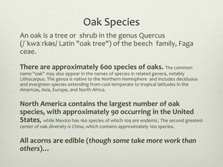 Oak Species
An oak is a tree or shrub in the genus Quercus
(/ˈkwɜːrkəs/ Latin "oak tree") of the beech family, Faga
ceae.
...
