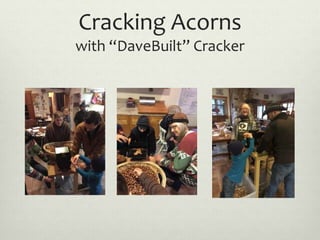 Cracking Acorns
with “DaveBuilt” Cracker
 